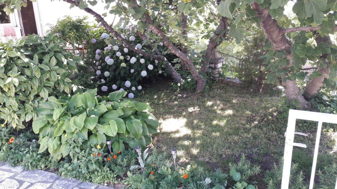 Mica Διαμέρισμα Senj  Εξωτερικό φωτογραφία